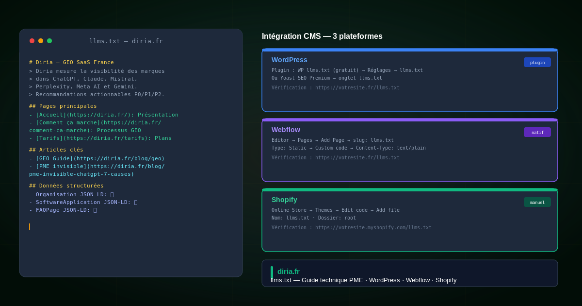 llms.txt : votre guide technique de A à Z (WordPress, Webflow, Shopify)