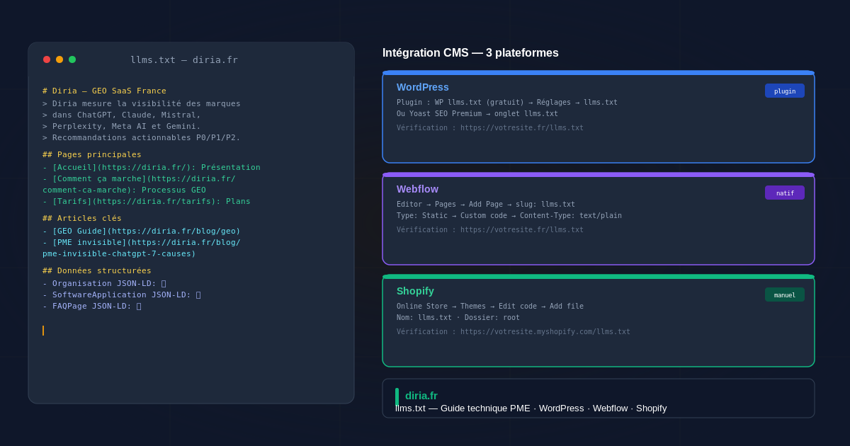 llms.txt guide technique PME — WordPress Webflow Shopify | diria.fr